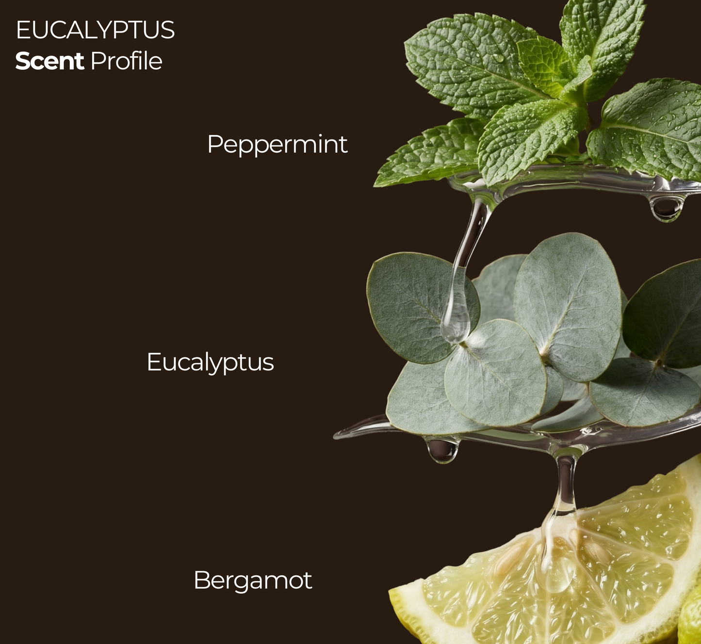 Eucalyptus